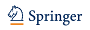 Springer Verlag